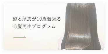 髪と頭皮が10歳若返る毛髪再生プログラム